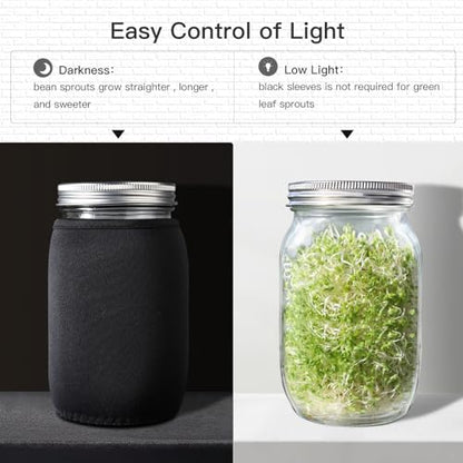 Seed Sprouting Jar Kit - 2 Wide Mouth Mason Jars with 316 Stainless Steel Sprouting Lids Covers, Drip Tray and Stand for Growing Broccoli Alfalfa Beans Sprout (Two Jars)
