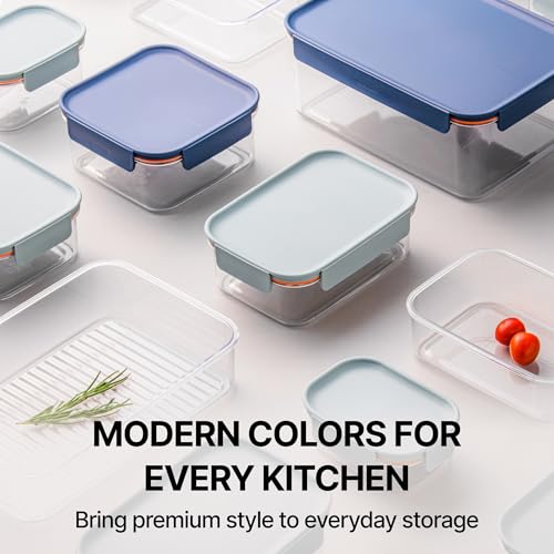 LocknLock Tritan Plastic Bisfree Modular Plus Food Storage Container Set, Lunch, Meal Prep, Stackable, BPA-Free, Leakproof, Microwave, Freezer-Safe, 10 Pieces, 5 Boxes and 5 Lids, Mint - color: Mint, size: 10 set (5 containers & 5 Lids)