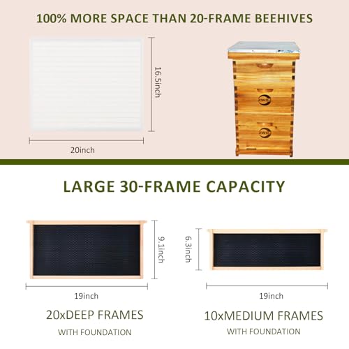 10 Frame Bee Hive Starter Kit, Complete Beehive Kit for Beekeepers Dipped in 100% Beeswax,Bee Hive Boxes Starter Kit for Bee Keekeepers - Langstroth Beehive Kit with 2 Deep Boxes & 1 Medium Box