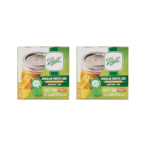 Ball Regular Mouth Mason Glass Jar Lids (24-Count), Silver