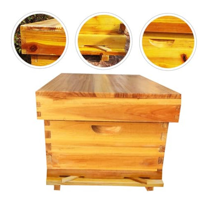 Beekeeping Hive Box with Partition Board and Mesh Cover, Cedar Wood Bee Hive for Outdoor Home Beekeeping, Wax-Boiled Langstroth Beehive Kit for Professional Apiaries