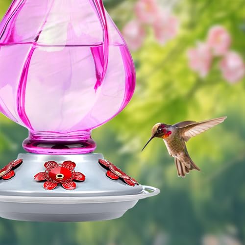 Hummingbird Feeder, BOLITE Glass Hummingbird Feeders for Outdoors Hanging, with Ant Moat and Five Feeding Ports, 22 Ounces, Leak Proof, Purple Bottle - color: Ruby Purple