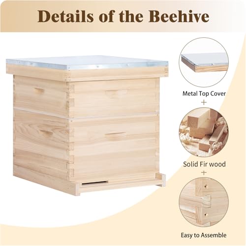 BeeCastle 8 Frame Langstroth Bee Hive, Beehive Starter Kit for Beginners with Beehive Frames and Waxed Foundation (1 Deep Box & 1 Medium Box)