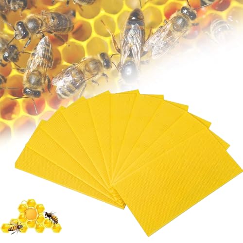 Beehive Wax Coated Foundation Sheet Beehive Foundation Sheet,Beeswax-Coated Foundation Sheets Made of Plastic,Black Beehive Beeswax Coated Foundation Sheet,for Deep Bee Frame (Yellow,10Pcs) - color: Yellow, size: 10Pcs