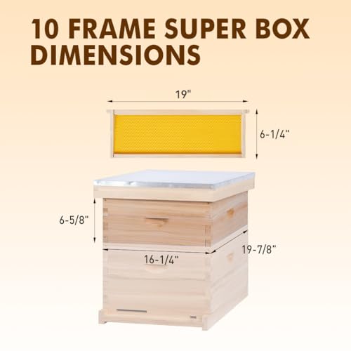 10 Frame Medium Super Beehive Box,Langstoth Super Honey Bee Hive Box, Include Beehive Frames and Waxed Foundations - size: 10 Frame
