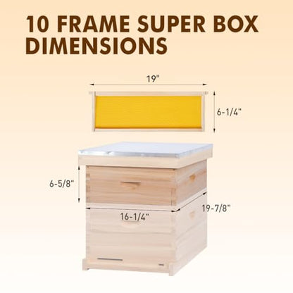 10 Frame Medium Super Beehive Box,Langstoth Super Honey Bee Hive Box, Include Beehive Frames and Waxed Foundations - size: 10 Frame