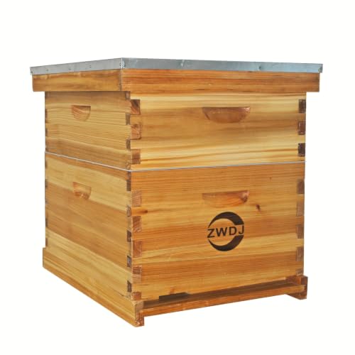 10-Frame Complete Beehive Kit, 2-Layer Langstroth Beehive with Full Beeswax-Coated Foundation Sheet, Complete Starter Beekeeping Kit for Beginners & Professional Beekeepers (2-Layer) - size: 2-Layer