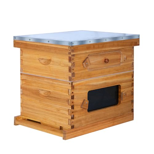 10 Frame Bee Hive Starter Kit with Windows, Beeswax Coated Langstroth Bee Hives Boxes for Beekeepers with Beehive Frames and Waxed Foundations (1 Deep Brood Bee Box & 1 Medium Super Box) - size: 10 Frames 2 Layers