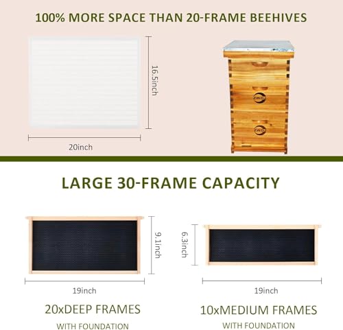 10 Frame Bee Hive Starter Kit with 2 Deep Boxes & 1 Medium Box, Complete Beehive Kit for Beekeepers,Bee Hive Boxes Starter Kit for Bee Keekeepers Langstroth Beehive Kit