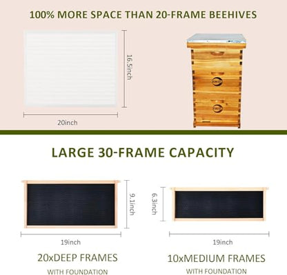10 Frame Bee Hive Starter Kit with 2 Deep Boxes & 1 Medium Box, Complete Beehive Kit for Beekeepers,Bee Hive Boxes Starter Kit for Bee Keekeepers Langstroth Beehive Kit