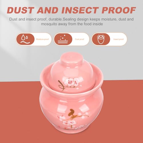 Hemoton Ceramic Pickle Jar with Dual Lid Sealed Food Container 2.5l Traditional Chinese Sauerkraut Crock for Kitchen Storage and Fermentation