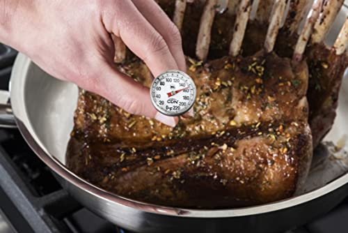 CDN IRT220 All-Purpose Cooking Thermometer, 1-Inch Dial - size: 1-inch/2.5 cm Magnified Dial