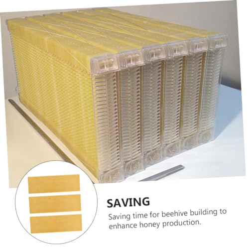 BESPORTBLE 3pcs Honeycomb Foundation Beehive Foundation Dadant Beekeeping Supplies Plastic Beehive Accessory