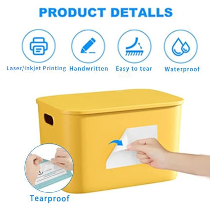 Removable Freezer Labels, Date Label 1x3 Inch Food Storage Stickers, Waterproof Oil Resistant Easy Clean Leaves no Residue 250 Total Per Roll,2 Rolls - color: White, size: 1×3 inch-2 rolls