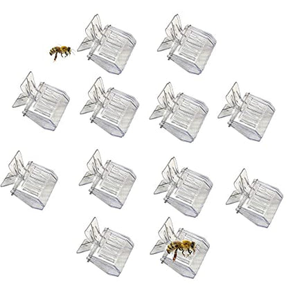 12 Pack Bee Queen Cage Catcher Clips Transparent Plastic Bee Queen Clips Beekeeping kit (12 Pack)