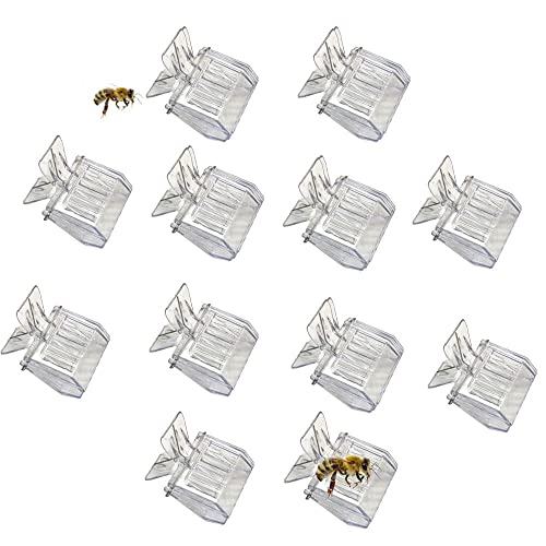 12 Pack Bee Queen Cage Catcher Clips Transparent Plastic Bee Queen Clips Beekeeping kit (12 Pack)