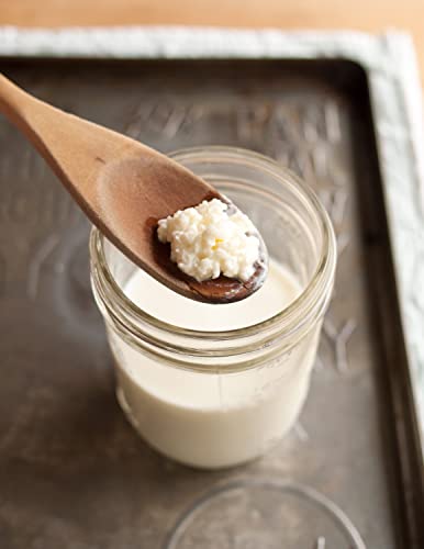 Jarming Collections Mason Jars - 32 Oz Extra Wide Mouth Glass Jars with Lids - Quart Containers - Made in USA (2 White Dome Plastic Lids) - color: 2 White Dome Plastic Lids