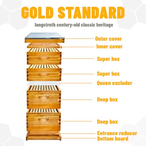 10 Frame Langstroth Bee Hive Beeswax Coated Includes Beehive Frames and Foundations (2 Deep Boxes & 2 Medium Boxes)