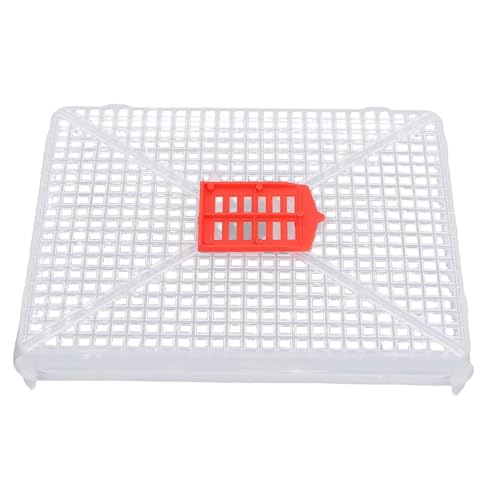 Fdit Square Buckle Queen Bee Cage, Plastic Rearing Cage for Beekeeping with Fine Mesh Grid, Food Grade Lightweight Tool, Introduction of Queens, Anti Escape