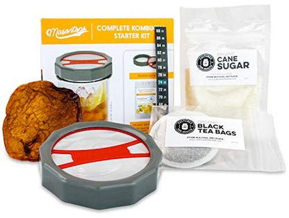 Masontops Complete Kombucha Starter Kit - Includes Organic Scoby, Thermometer, Activating Sugar & Kombucha Brewing Lid - size: Kombucha Starter Kit