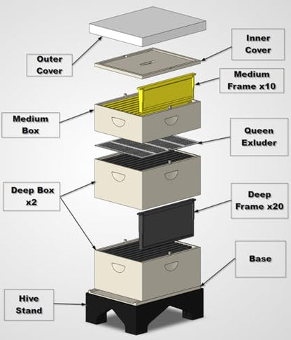 MZ Design Works 1:8 Scale Langstroth Beehive Model – Educational Honey Bee Hive with Removable Frames | Beekeeping Teaching Model & Classroom Demonstration Hive