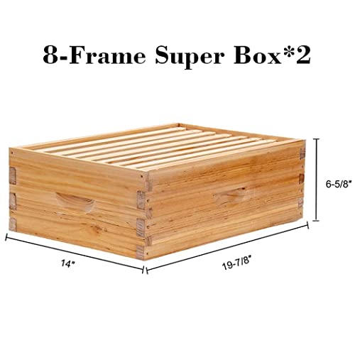 BeeCastle 8 Frame Langstroth Bee Hive Coated with Beeswax Includes Beehive Frames and Waxed Foundations (2 Deep Boxes & 2 Medium Boxes)