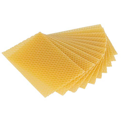 10Pcs Pure Beeswax Foundation | Authentic Beehive Wax Frame for Furniture Polishing/Candle Making/Crafts | Dampness - Protective & Crack - Preventive | 140g per Sheet