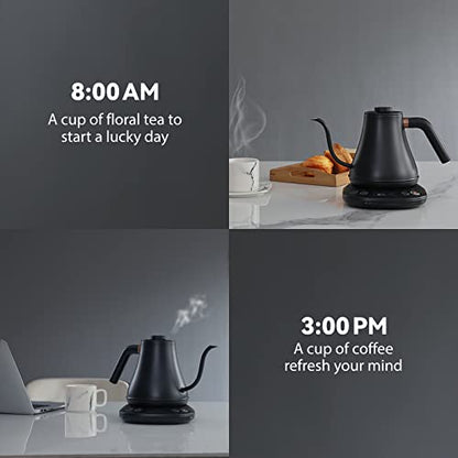 Mecity Electric Kettle Gooseneck Pour Over Kettle ±1℉ Temperature Control Quick Heating Water Boiler for Coffee & Tea & Formula Auto Shut Off Tea Kettle 1200 Watt, 0.8L, Matt Black, Barista Edition - color: Matt Black