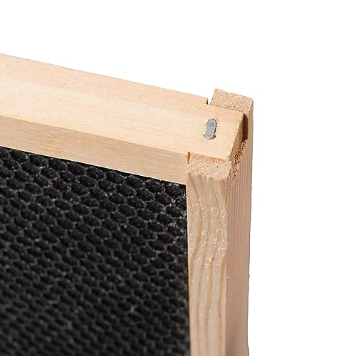 Honey Lake Medium Beehive Frames and Foudations Kit,10 Pack Super Bee Frames with Beeswax Coated Food Grade Plastic Foundations for Beekeeping (Black) - color: 10Pack-Black
