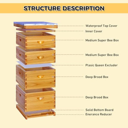 POLLIBEE 10 Frame Bee Hive, Beehive Kit Includes 2 Deep Brood Bee Boxes, 2 Medium Beehive Boxes,Comes with Assembly Screws (No Frames or Foundations)