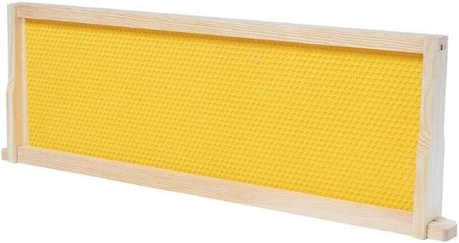 BeeCastle 40-Pack Beehive Bee Frames Waxed Foundation with Complete Unassembled Commercial Frames, 6-1/4-Inch (Yellow) - size: 40-Pack
