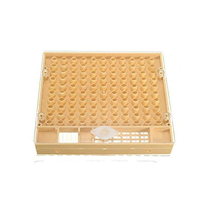 Plastic Queen Rearing System Beekeeping Bee Grafting Kit Royal Jelly Squeegee Pen Cultivating Box Cell Cups Queen Bee Cage Catcher Clips Beekeeping Grafting Tool Supplies