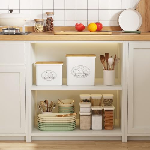 Lifewit Plastic Potato and Onion Storage Bin, Stackable Garlic Keeper with Aerating Holes and Lid, Vegetable Container Box for Pantry Countertop, White, 24 x 18 x 24 cm/9.5 x 7 x 9.5 inch, Set of 2 - color: White