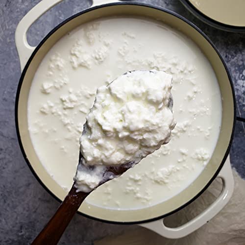 Cultures for Health Paneer & Queso Blanco Artisan Cheesemaking Kit | 4 Pieces DIY Kit Includes Citric Acid, Cheesecloth, Cooking Thermometer, & Recipe Booklet | Indian Cottage Cheese & Mexican Cheese