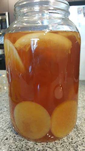 Bucha Brewers Kombucha SCOBY & Starter Tea - 8 Ounces Strong Starter Tea & Live kombucha SCOBY grown on ORGANIC sugar and black tea blend