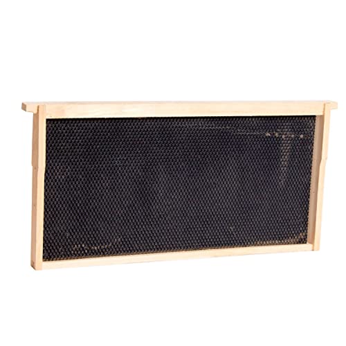 Stoney Acres Beekeeping Beehive Frame, Waxed Plastic Foundation, Deep Assembled, Honey Bee Hive, Amish Made