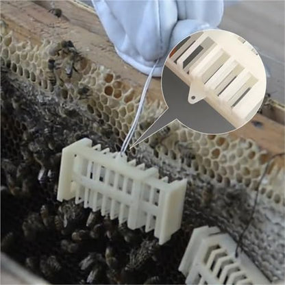 Queen Bee Cage 200pcs Beekeeping Queen Bee Rearing Cage Extension Bees Tools Anti Escape Cages Cup Plastic Cell Supplies Apiculture Equipment for Beekeeping Supplies