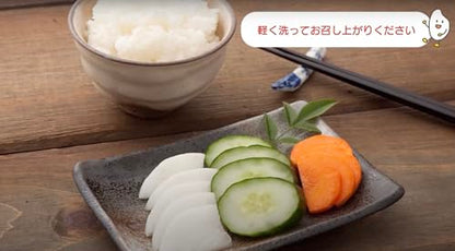 A ready-to-use aged Japanese Nukadoko fermentation rice bran starter for making Japanese probiotic pickles (tsukemono, nukazuke)