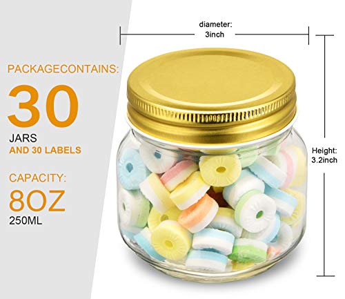 Rainforce Mason Jars 8 oz 30 Pack- Small Mason Jars With Gold Lids -1/4 Quart Canning Jars| Storage Pickling Jars For Jelly, Jam, Honey, Pickles, Spice - With 30 Chalkboard Labels - color: Gold