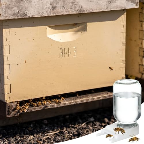 BESPORTBLE 4Pcs Water Feeder Lids for Beekeeping 2.87 Inch Bee Hive Entrance Feeder Covers with Easy Installation for Hive Watering Stations