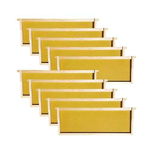8 Frame Hoover Hives Wax-Coated Medium Honey Super Box