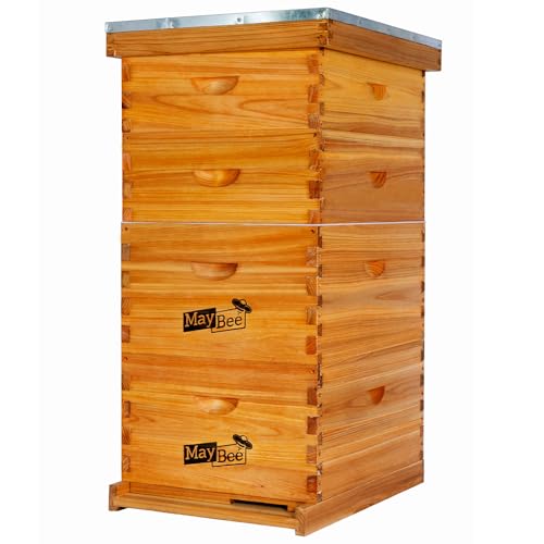 MayBee 10-Frame Langstroth Beehive Dipped in 100% Beeswax, Complete Bee Hives and Supplies Starter Kit Includes 2 Deep Hive Bee Box and 2 Bee Hive Super with Beehive Frames and Foundation