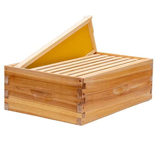 POLLIBEE 8 Frame Super Beehive Box, Langstroth Honey Bee Box Dipped in 100% Beeswax Include Bee Hive Frames and Wax Foundations (unassembled) - size: 8 Frame