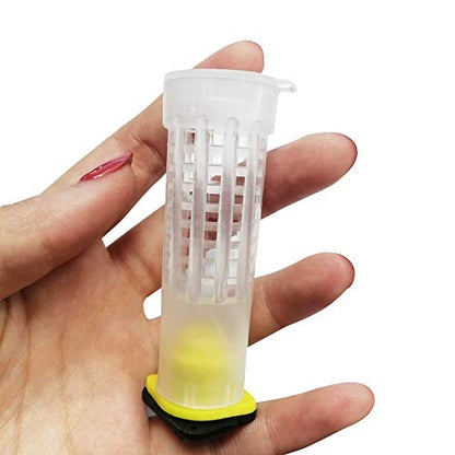 Beekeeping Rearing Cup Kit—Queen Bee Roller Cage 20pcs Equipment Insects Tools Queen Bee Cage Holder Fixtures