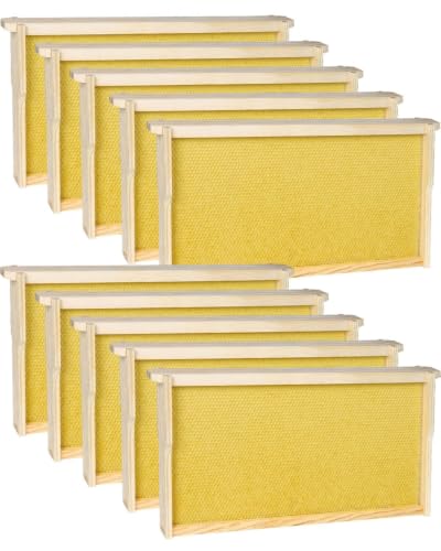 vensovo 10 Pack Bee Frames Deep - Bee Hive Frames and Wax Foundations Yellow Beehive Frams - color: Yellow