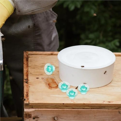 300Pcs Rearing Cups Bee Breeding Cells for Efficient Beekeeping Storage Easy Management Tool for Beekeepers