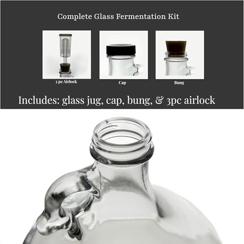 North Mountain Supply 1 Gallon Glass Fermenting Jug with Handle – Includes #6.5 Rubber Stopper, 3-Piece Airlock & Black Plastic Lid – Made in the USA