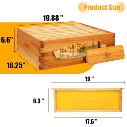 Honey Lake Bee Hive with Windows, 10 Frame Langstroth Complete Beehive Starter Kit Dipped in Beeswax with Beehive Frames and Waxed Foundations (2 Deep Brood Bee Hive Box & 1 Medium Super Bee Box) - size: 3 Layers