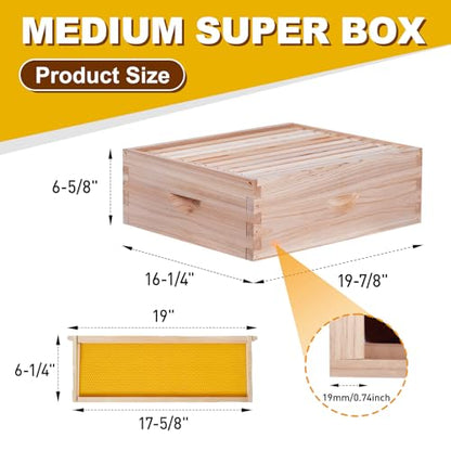 BeeCastle 10 Frame Medium Super Bee Hive Box, Langstroth Honey Bee Hive Include Beehive Frames and Waxed Foundations (Unassembled) - size: 10 Frame