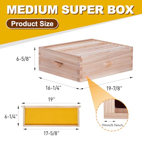 BeeCastle 10 Frame Medium Super Bee Hive Box, Langstroth Honey Bee Hive Include Beehive Frames and Waxed Foundations (Unassembled) - size: 10 Frame